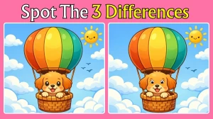 Spot 3 Differences Between the Pictures of a Dog Flying with a Parachute in 10 Seconds!