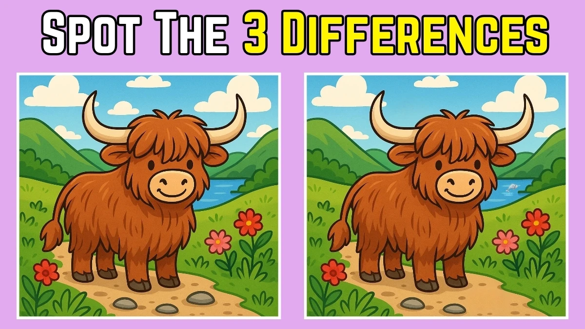 Spot 3 differences between the Yolk Pictures in 14 seconds!