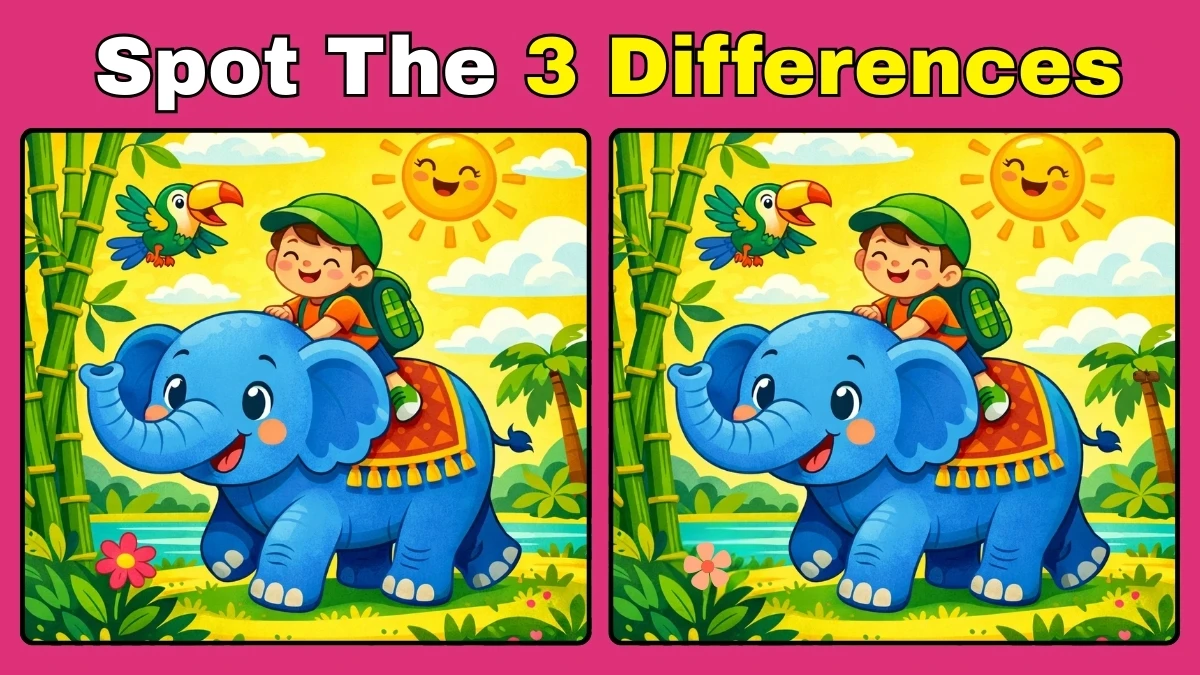 Spot 3 differences: Boy Riding Elephant Pictures in 15 seconds!