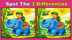 Spot 3 differences: Boy Riding Elephant Pictures in 15 seconds!
