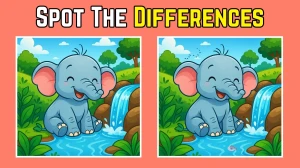Spot 3 Differences in elephant Image - Can You Find Them in 12 Seconds