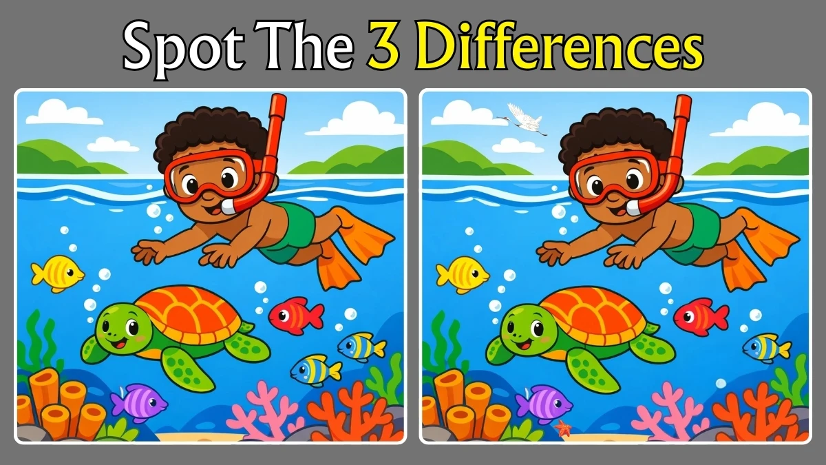 Spot the Difference: Can you spot 3 differences between the two images in 12 seconds?