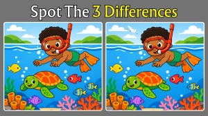 Spot the Difference: Can you spot 3 differences between the two images in 12 seconds?