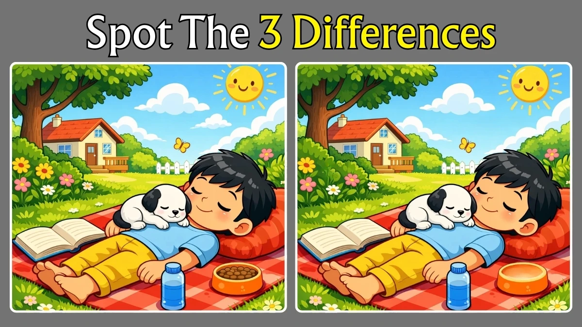 Spot the Difference: Can You Spot the 3 Differences in this Boy and Dog Picture in 12 Seconds?