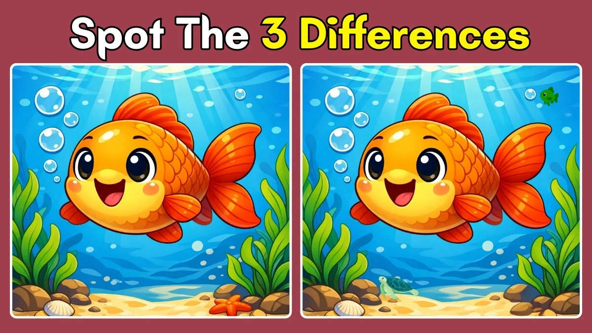 Spot the Difference Challenge: Can you Spot the 3 Differences in this Fish Pictures in 12 Seconds!