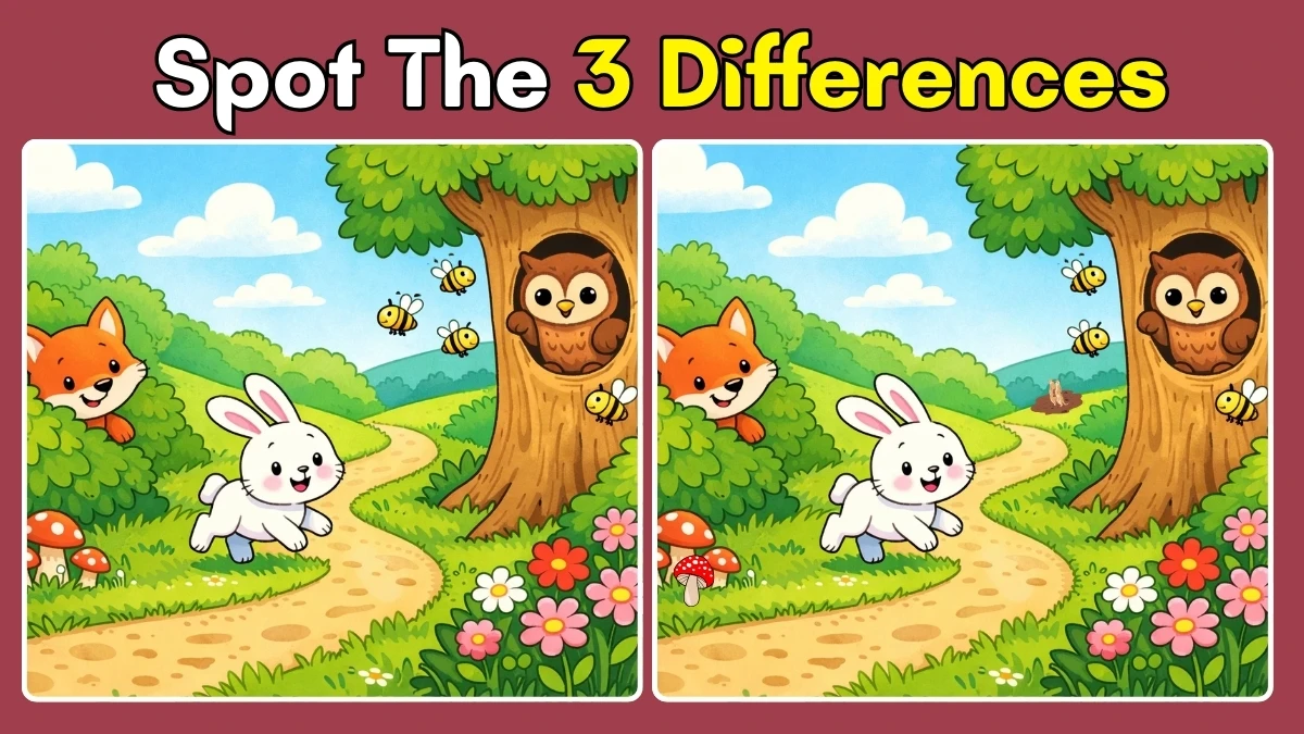 Spot the Difference Game: Can you spot 3 differences between the two images in 13 seconds?