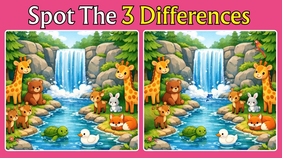 Spot the Differences: Can You Spot 3 Differences in This Waterfall Challenge in Under 10 Seconds?