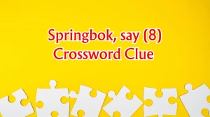 Springbok, say Crossword Clue Irish Daily Mail Quick 8 letters Answer