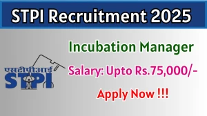 STPI Incubation Manager Recruitment 2025 – Apply Online