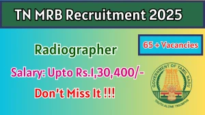 TN MRB Radiographer Recruitment 2026 - Apply Online for 67 Posts