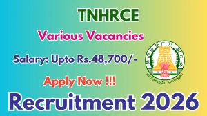 TNHRCE Recruitment 2025-26 - Apply Offline for 04 Typist, Office Assistant and More Posts