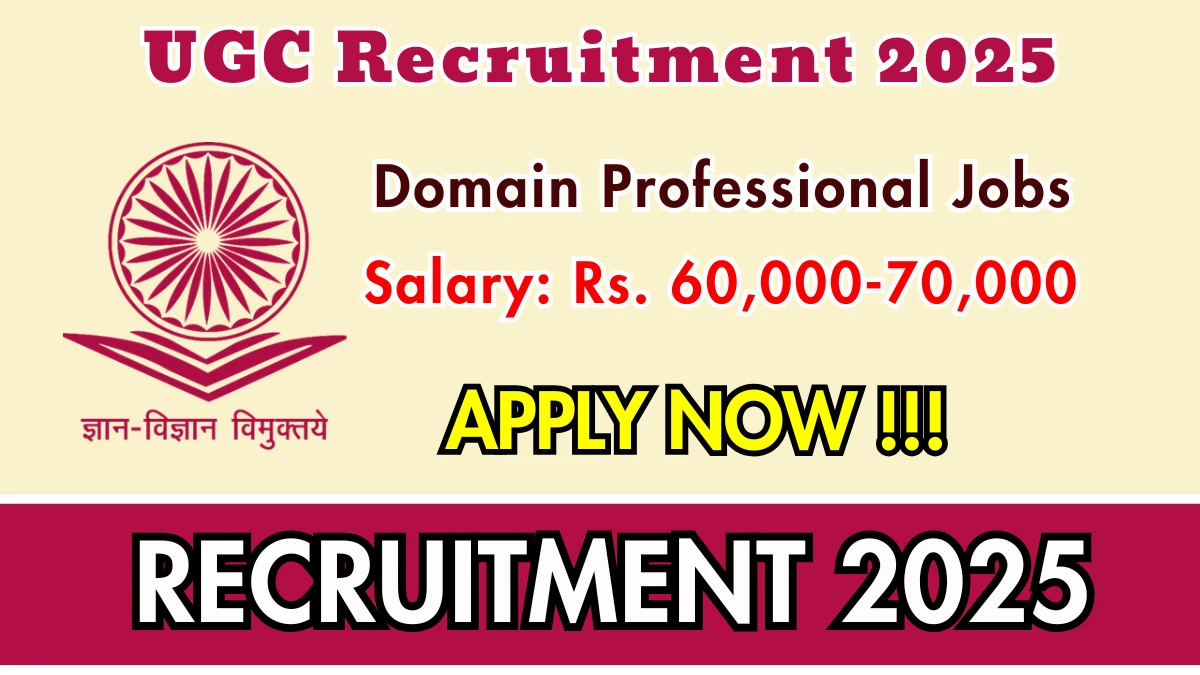UGC Domain Professional Recruitment 2025 - Apply Online for 11 Posts