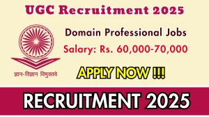 UGC Domain Professional Recruitment 2025 - Apply Online for 11 Posts UGC Domain Professional Recruitment 2025 - Apply Online for 11 Posts