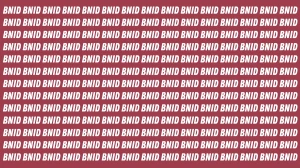 Visual Illusion: Within 7 Seconds Spot the Word BIND among BNID