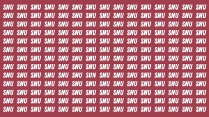 Visual Illusion: Within 7 Seconds Spot the Word SUN Among SNU