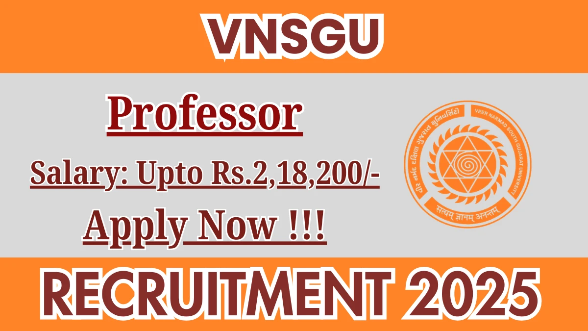 VNSGU Professor Recruitment 2025 - Apply Online