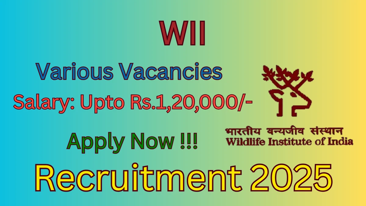 WII Recruitment 2025 - Apply Offline for 19 Project Assistant, Project Associate and More Posts