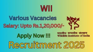WII Recruitment 2025 - Apply Offline for 19 Project Assistant, Project Associate and More Posts
