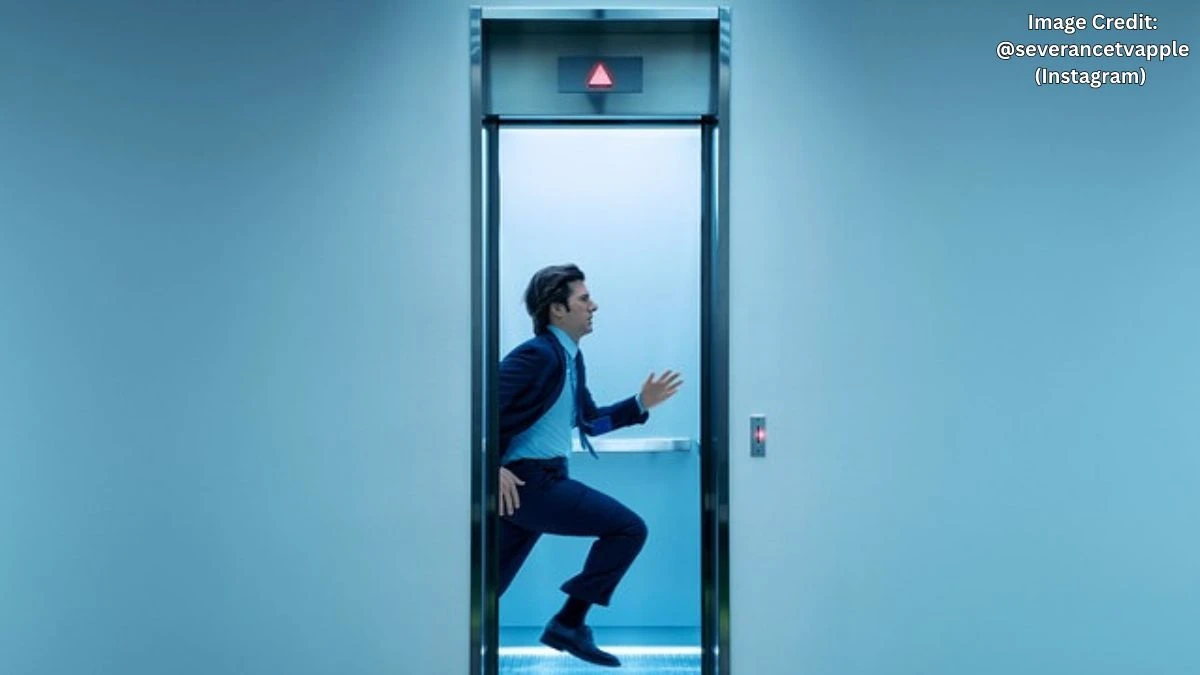 Will There Be a Season 3 of Severance? Latest Updates on Filming and Premiere Date