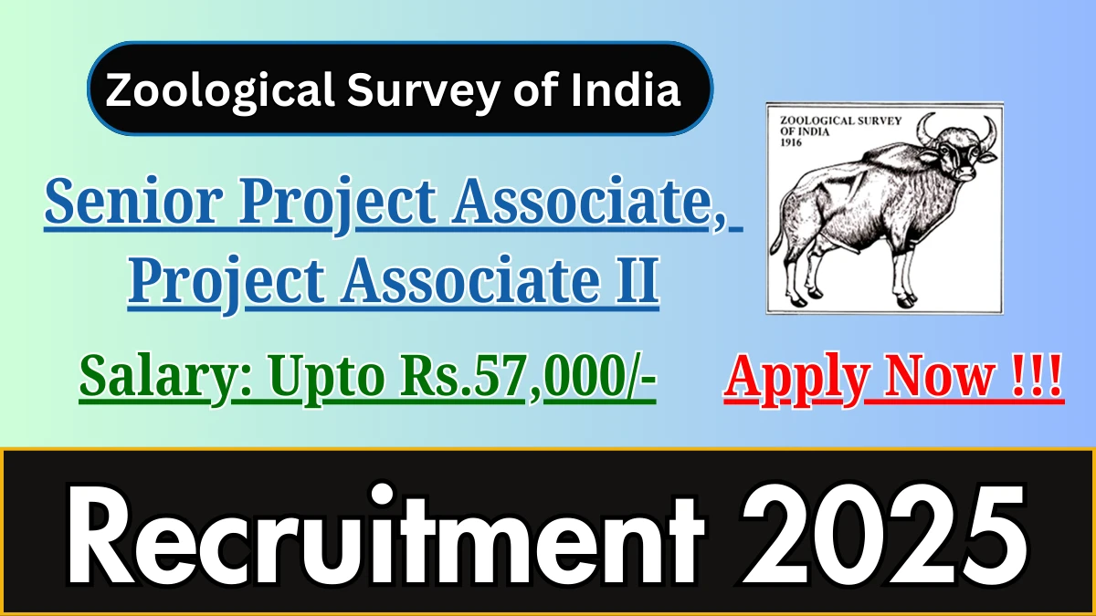 ZSI Recruitment 2025 - Apply Offline for 09 Senior Project Associate, Project Associate II Posts