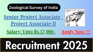ZSI Recruitment 2025 - Apply Offline for 09 Senior Project Associate, Project Associate II Posts