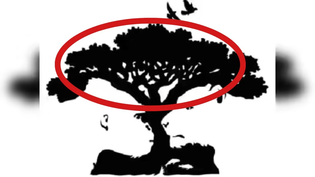 Personality Test: What You See First Reveals Your True Personality?