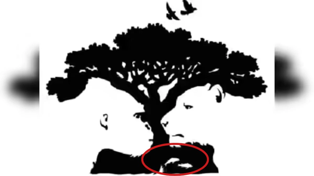 Personality Test: What You See First Reveals Your True Personality?