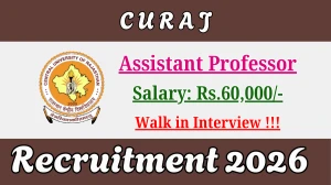 CURAJ Assistant Professor Recruitment 2026 – Walk in