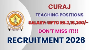 CURAJ Teaching Positions Recruitment 2026 - Apply Online for 08 Posts
