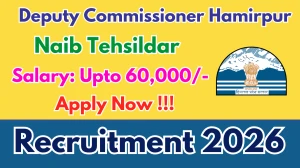 Deputy Commissioner Hamirpur Naib Tehsildar Recruitment 2026 - Apply Offline for 02 Posts