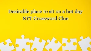 Desirable place to sit on a hot day NYT Crossword Clue