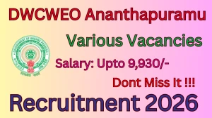 DWCWEO Ananthapuramu Recruitment 2026 - Apply Offline for 04 Doctor, Ayah And More Posts