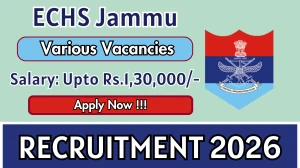 ECHS Jammu Recruitment 2026 - Apply Offline for 29 DEO, Clerk And More Posts