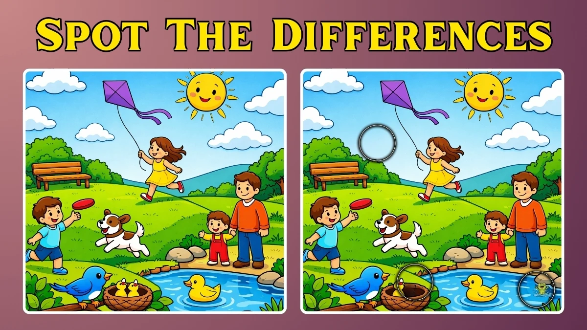 Find the 3 Differences in 10 Seconds in This Park Picture