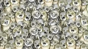 Find the Hidden Cat in 7 Seconds: 99% of People Fail This Animal Optical Illusion