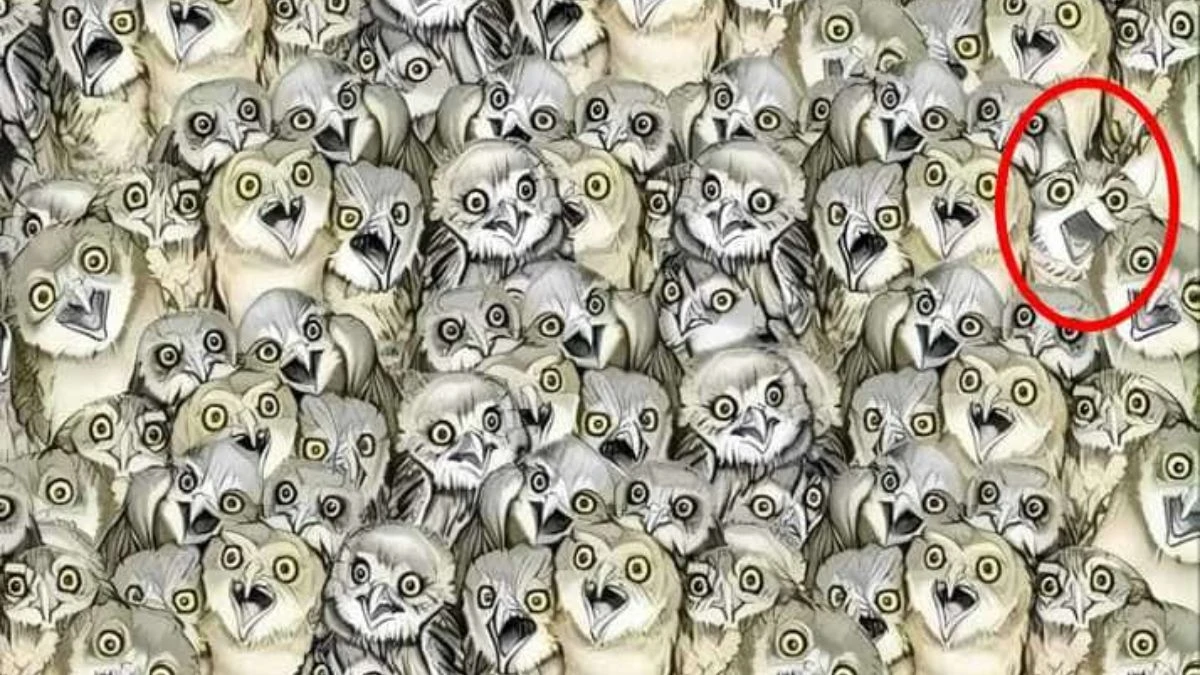 Find the Hidden Cat in 7 Seconds: 99% of People Fail This Animal Optical Illusion