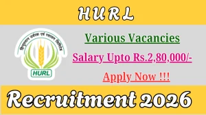 HURL Recruitment 2026 - Apply Online for 38 Vice President, Senior Manager and More Posts