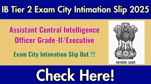 IB ACIO Tier 2 City Intimation Slip 2025 Out – Download Link Here