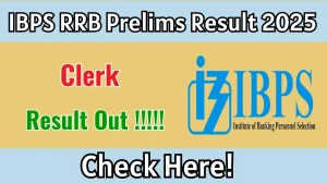 IBPS RRB Clerk Prelims Result 2025 OUT - Download Scorecard & Check Merit List
