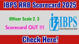 IBPS RRB Officer Scale 2, 3 Scorecard 2025 OUT - Download Scorecard @ibps.in IBPS RRB Officer Scale 2, 3 Scorecard 2025 OUT - Download Scorecard @ibps.in