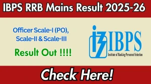 IBPS RRB PO Mains Result 2025-26 OUT (Direct Link) - Download Scorecard @ibps.in