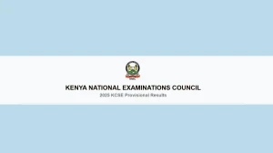 KCSE Result 2025: How to Check KCSE Result After Publish in KNEC Result Portal results.knec.ac.ke ?