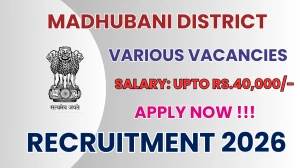 Madhubani District Recruitment 2026 - Apply Online for 03 Administrative Officer, Accountant And More Posts