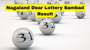Nagaland Dear Lottery Result Today 06/01/2026 6 PM OUT: Check all Dear Prestige Day Tuesday Winning Numbers Here