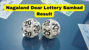 Nagaland Dear Lottery Result Today 08/01/2026 6 PM OUT: Check all Dear Supreme D...