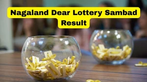 Nagaland Dear Lottery Result Today 09/01/2026 1 PM OUT: Check all Dear Victory Morning Friday Winning Numbers Here
