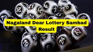Nagaland Dear Lottery Result Today 10/01/2026 1 PM OUT: Check all Dear Vision Morning Saturday Winning Numbers Here