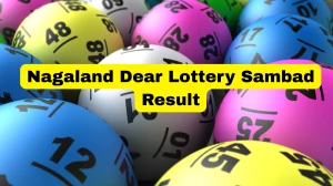 Nagaland Dear Lottery Result Today 13/01/2026 1 PM : Check all Dear Shine Morning Tuesday Winning Numbers Here