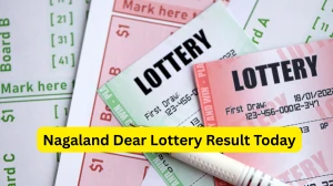 Nagaland Dear Lottery Result Today 17/01/2026 1 PM OUT: Check all Dear Vision Morning Saturday Winning Numbers Here