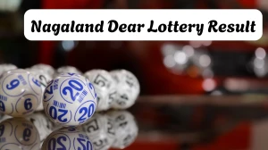 Nagaland Dear Lottery Result Today 19/01/2026 1 PM : Check all Dear Rise Morning Monday Winning Numbers Here
